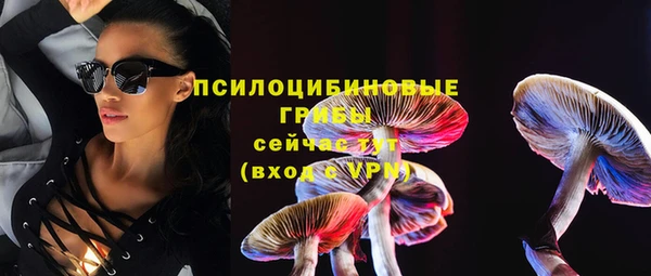 PSILOCYBIN Горно-Алтайск