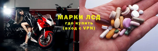 PSILOCYBIN Горно-Алтайск