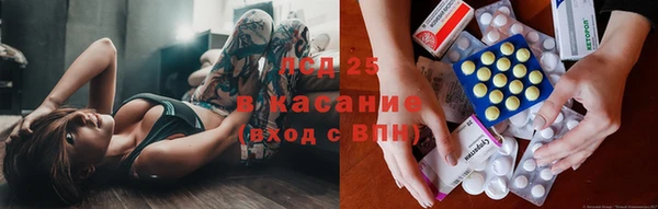 PSILOCYBIN Горно-Алтайск