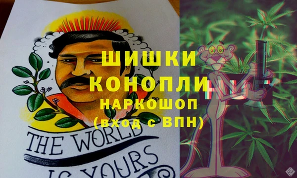 стаф Горнозаводск