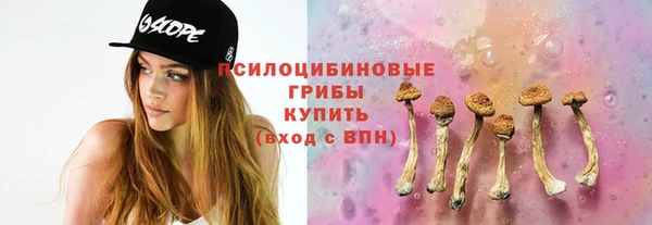 стаф Горнозаводск