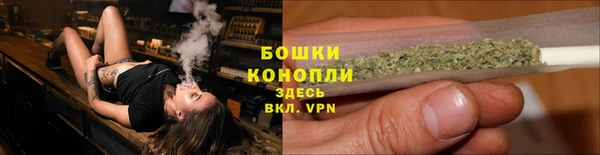 PSILOCYBIN Горно-Алтайск