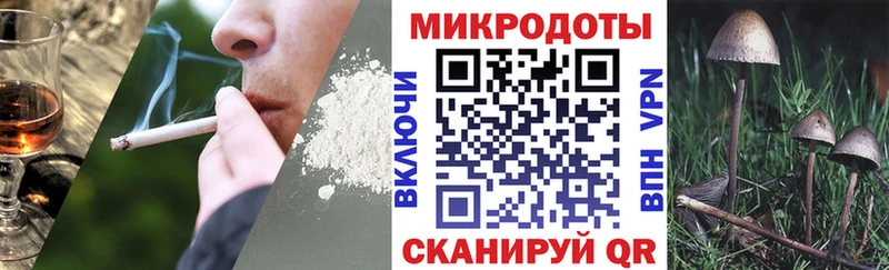 гидра ссылка  где купить наркотик  Мценск  Псилоцибиновые грибы мицелий 